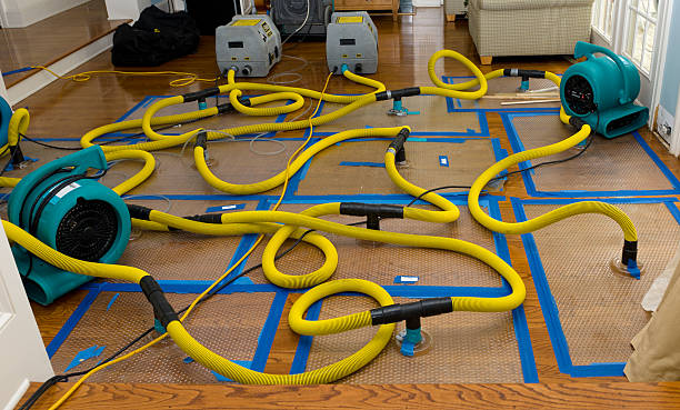 Professional Basement Flood Cleanup technician working in Smithfield, KY